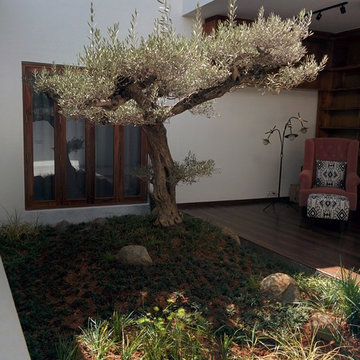 Farmhouse Gardens