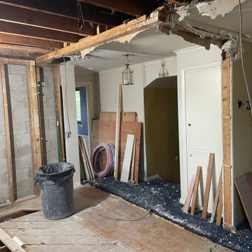 Smith renovation