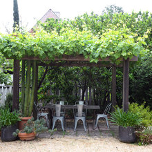 Patio Ideas