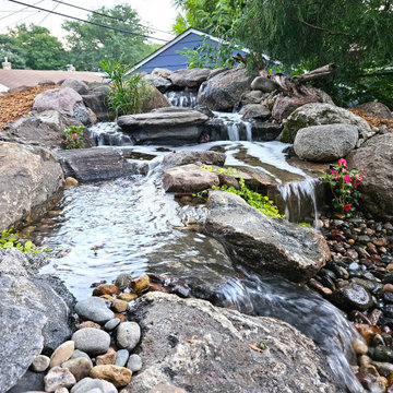 Pond Renovation