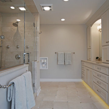 Large Transitional Master Bathroom in Palatine