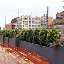 Rooftop