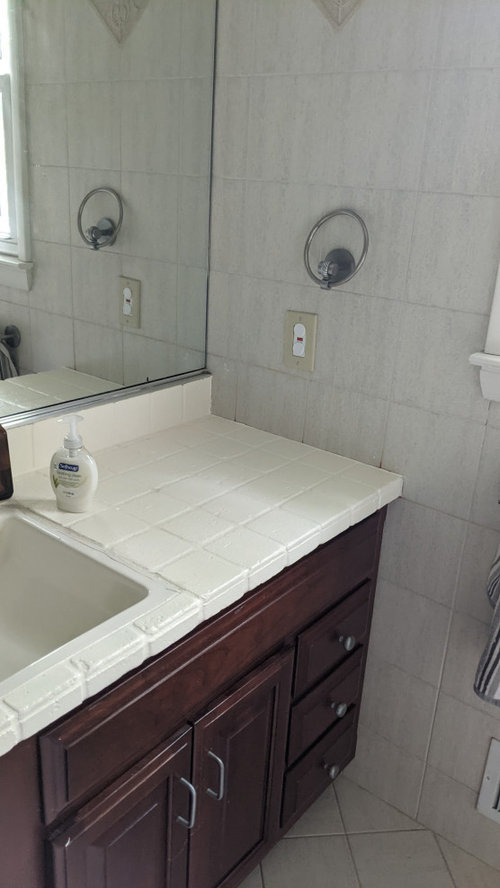 Vessel Sink Advice for Large but Low Double Vanity in Kids Bathroom