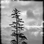 Norma Lopez's photo