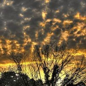 William Lam's photo