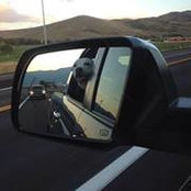 Greg Hartley's photo