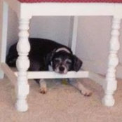 Foto von Belinda Bierwirth