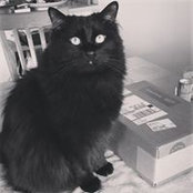 Alta Bassett's photo