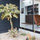 naturalearthlandscaping