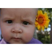 Rose Dadons foto