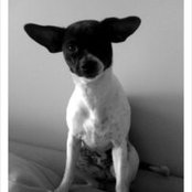 Jason Miller's photo