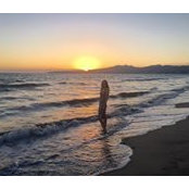 Abby Norris's photo