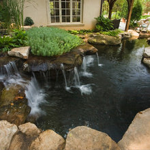 Landscape Ideas