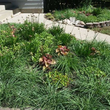small mulch-less planting