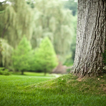 Traditional Landscape