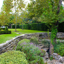 Landscape Ideas