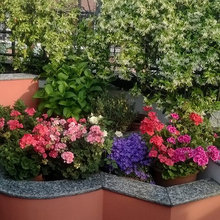 Giardino In terrazzo