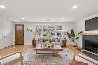 Living room - transitional living room idea in Boston