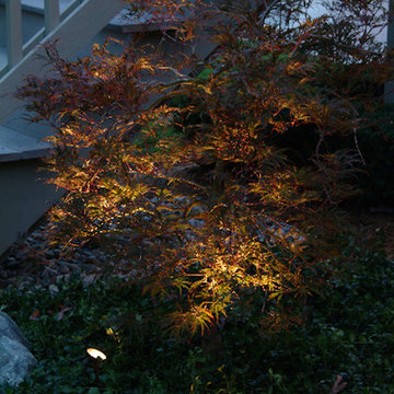 Landscape Lighting Services