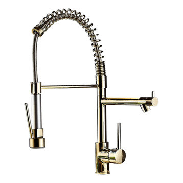 Single Hole Pull Out Spring Sprayer Dual Spout Kitchen Faucet Brass in Gold