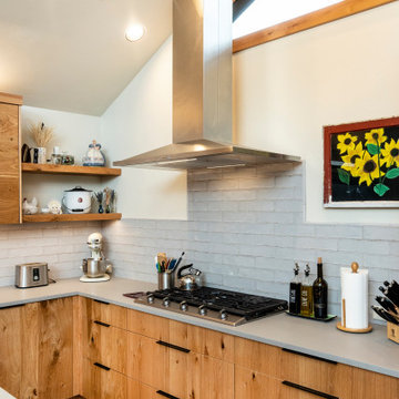 Forest Ln. Cabin Remodel