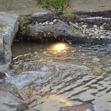Backyard Fish Pond with Boulders, Pond Lights and Driftwood
