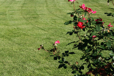Inspiration for a huge transitional full sun front yard landscaping in Atlanta for summer.