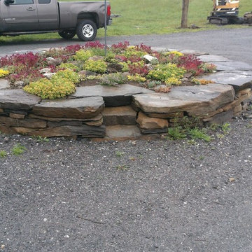outdoor entertainment