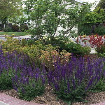 From Weeds to Welcome Home!