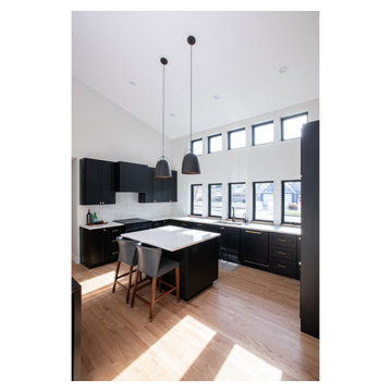 Modern Ranch Whole-Home Remodel & Addition | Arlington Heights, IL
