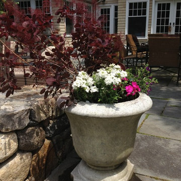 Seasonal Container Plantings & Changeovers