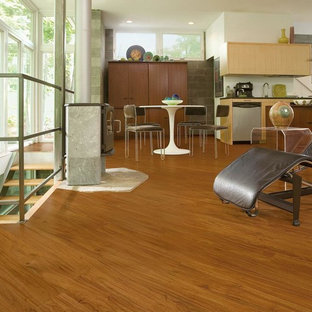 カンザスシティの中サイズのコンテンポラリースタイルのLDKの画像 (白い壁、クッションフロア、吊り下げ式暖炉、コンクリートの暖炉まわり)