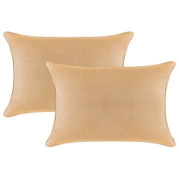 A1HC Soft Velvet Pillow Covers, YKK Zipper, Set of 2, Mocha, 12"x20"