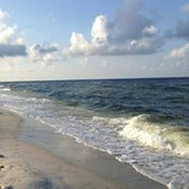 Danna Sabolik's photo