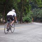 Zeno Chan's photo