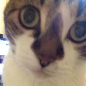 Lorie Gibson's photo