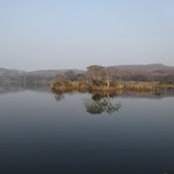 Nitin Bhatia's photo