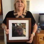 Jan Williams's photo
