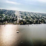 Emily Collins Neel's photo