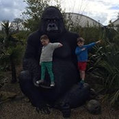 Tim Howett's photo