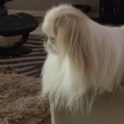 Sharon Scott's photo