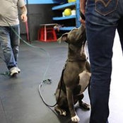 Sonya Markham's photo