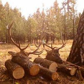 James Delong's photo