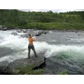 Inga Fredlund's photo