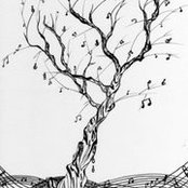 Liyu Yi's photo