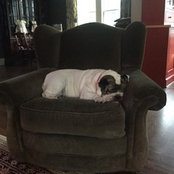 Gregg McMorran's photo