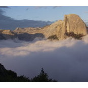 Kevin Trest's photo