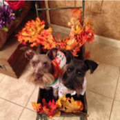 Juanita Ashley's photo