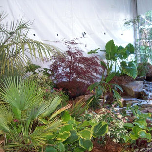Elephant Ears Landscaping Ideas | Houzz