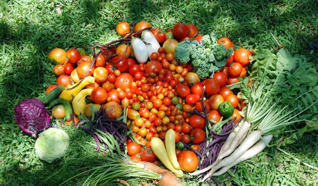 Vous voulez cultiver votre propre nourriture ? Lisez d'abord ceci